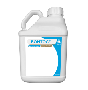 Bontoc®