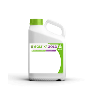 Goltix® Gold