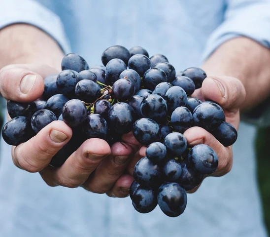 Hero grapes