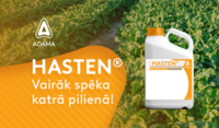 Hasten 920x660 v4