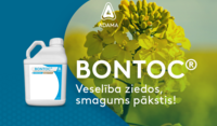 BONTOC 920x660