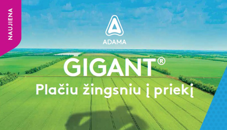 Gigant - plačiu žingsniu į priekį!