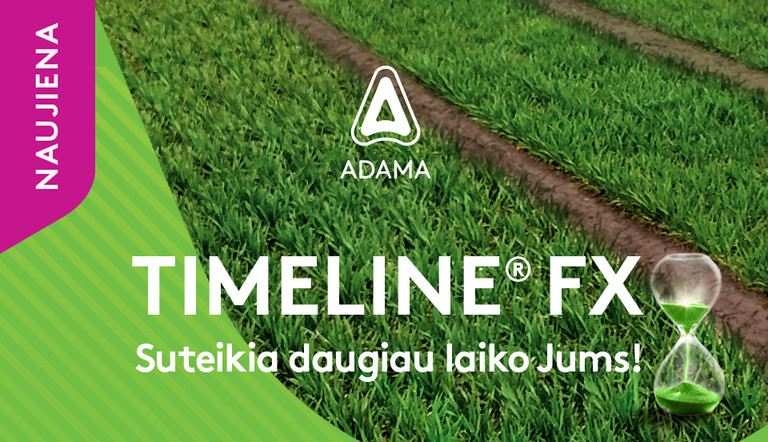 Timeline® FX
