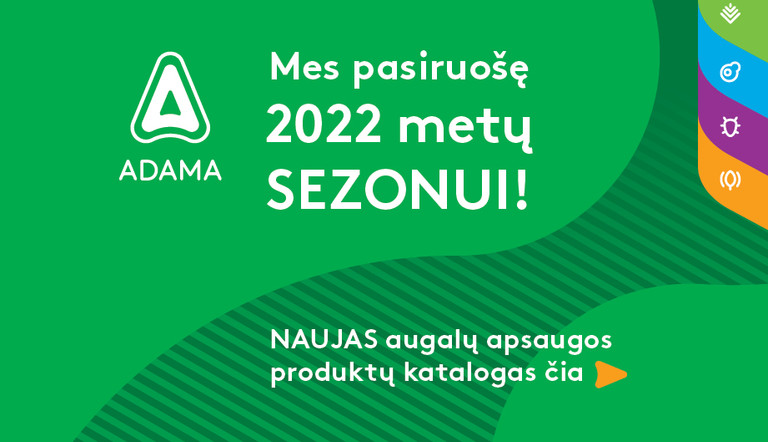 2020 metų sezonas