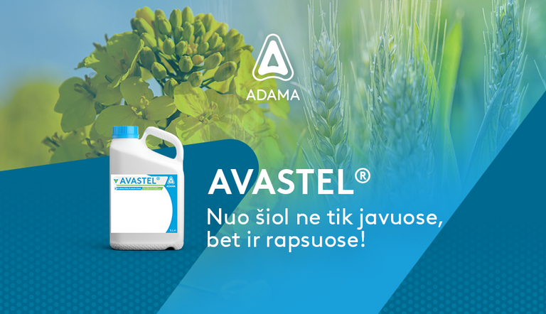 AVASTEL OSR