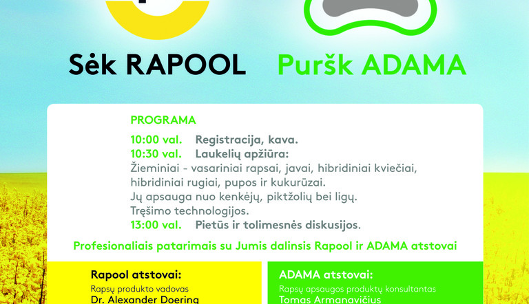 programa