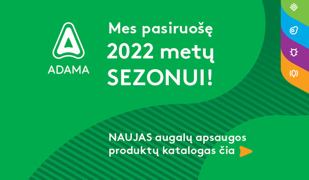 2020 metų sezonas