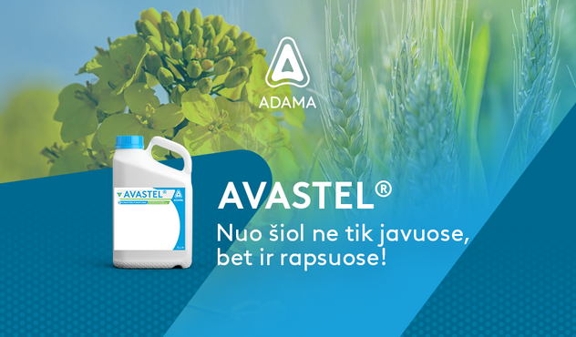 AVASTEL OSR