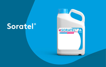 Asorbital produktai