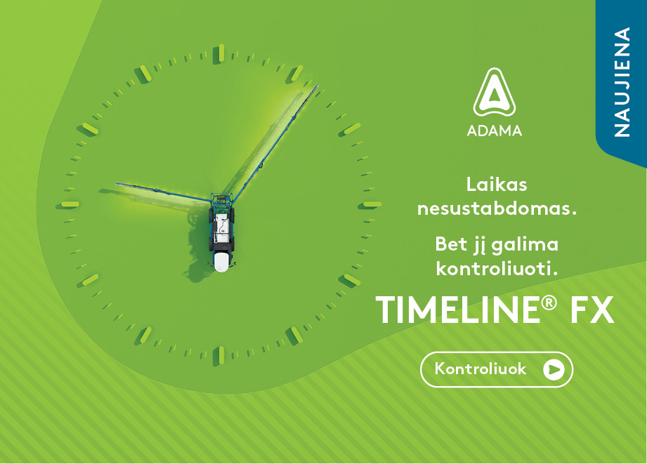 Timeline® FX