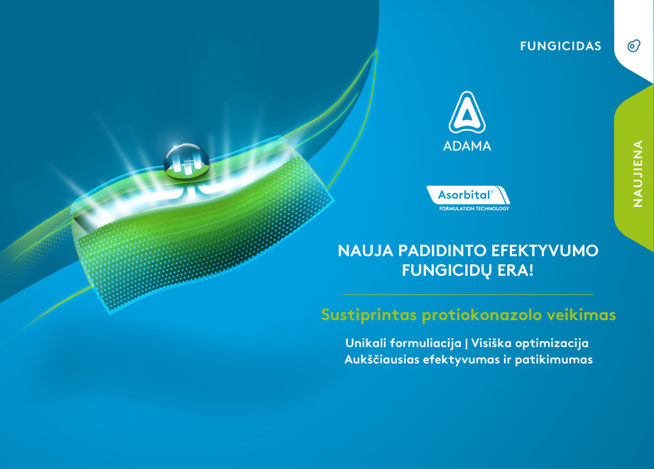 Asorbital formuliacijos technologija