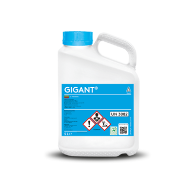 Gigant