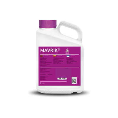 Mavrik