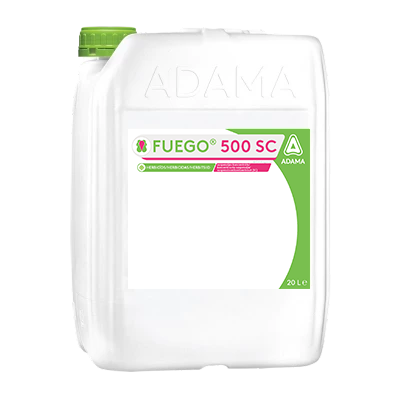 Fuego 500 SC