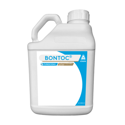 Bontoc