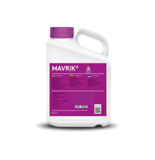 Mavrik