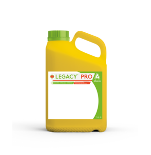 Legacy Pro