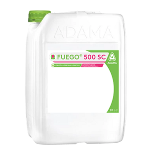 Fuego 500 SC