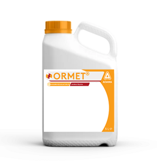 Ormet
