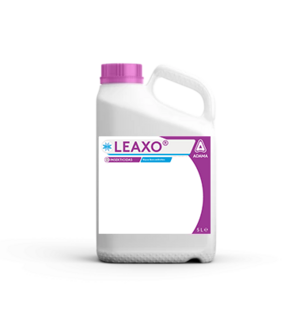 Leaxo