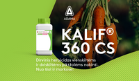 Kalif morkose