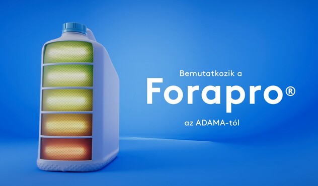 Forapro