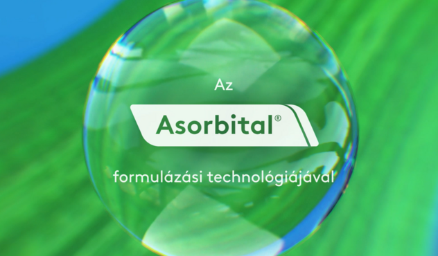Asorbital technológia