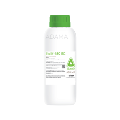 adama