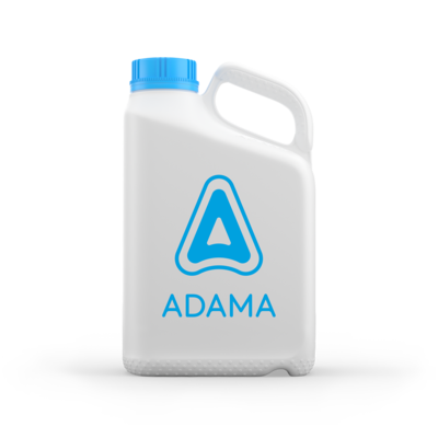 adama