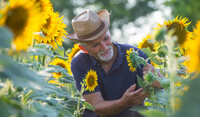 farmer-with-sunflower