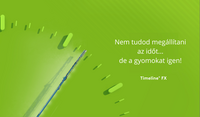 Timeline