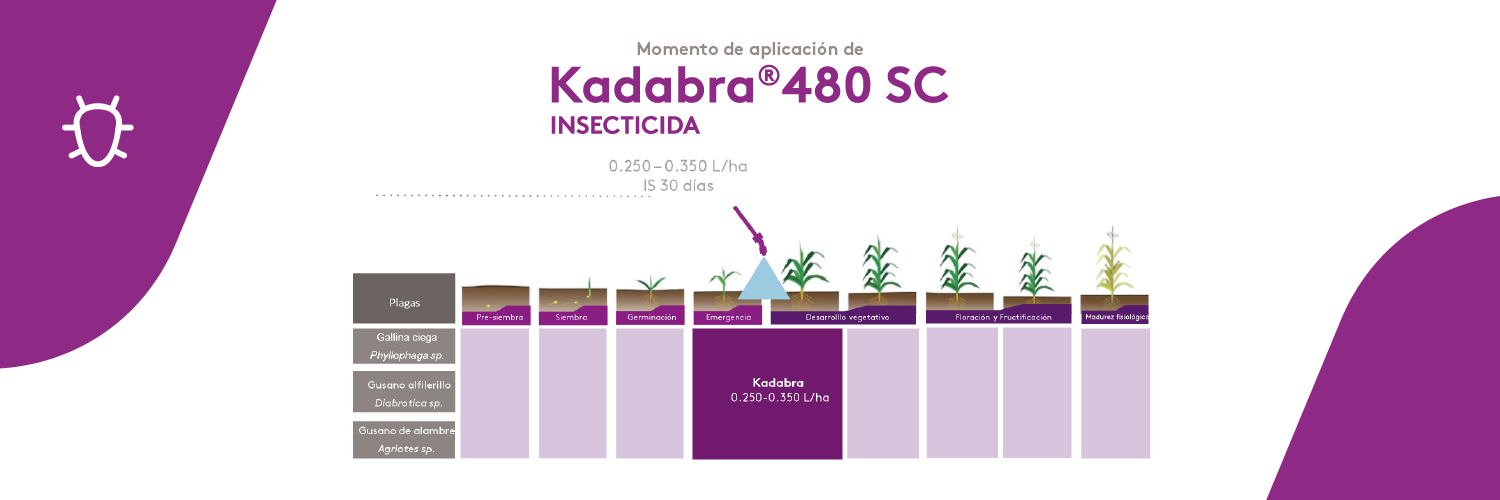 APLICACIÓN