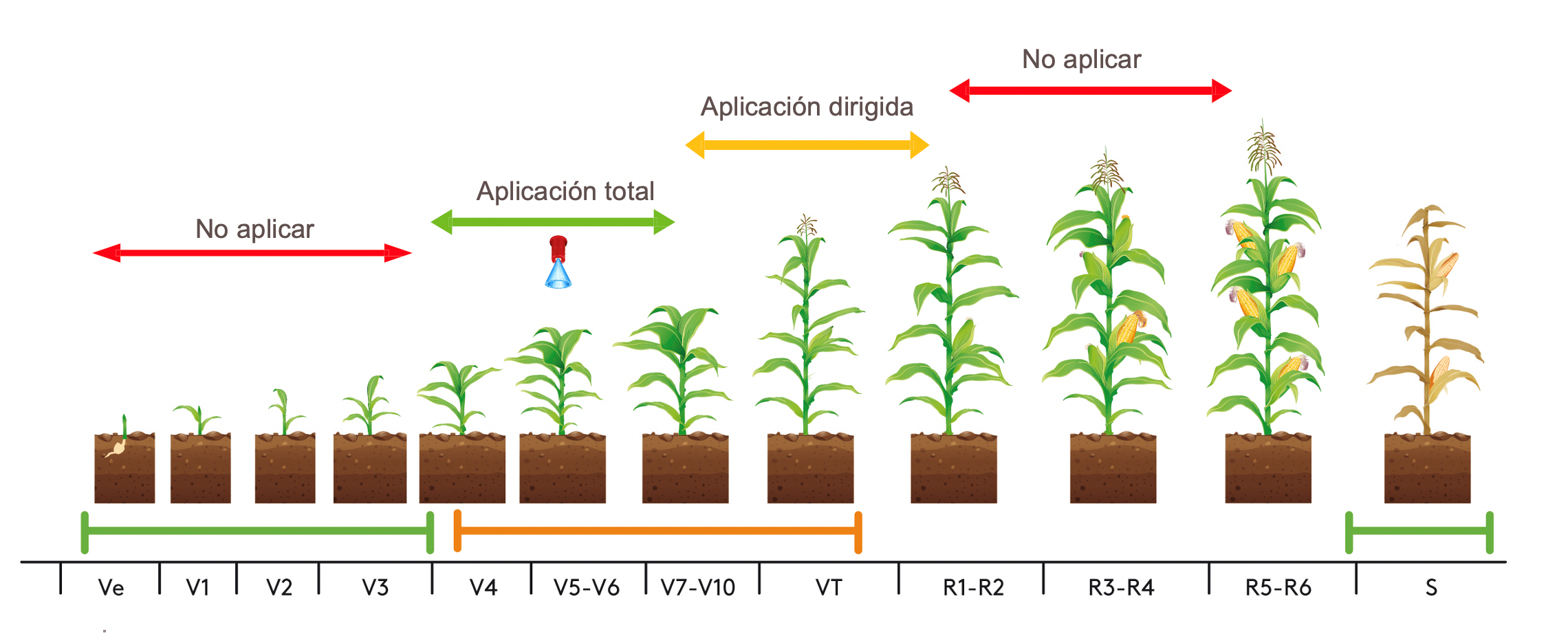 Fenología Acre