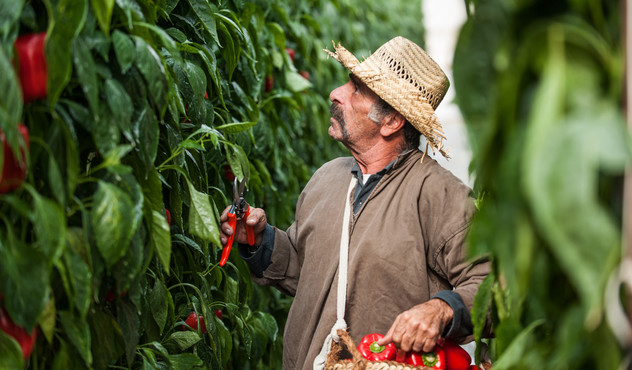 farmer