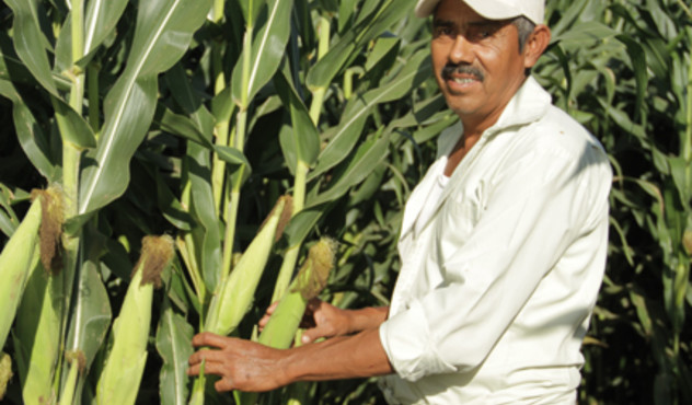 agricultor