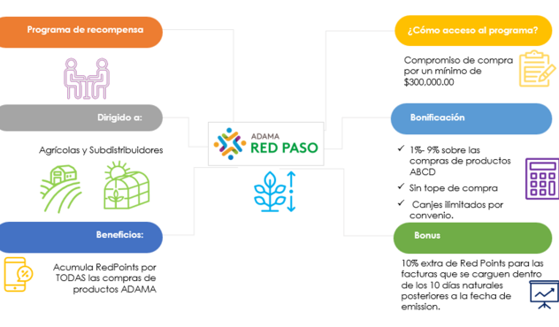 Como funciona RED PASO