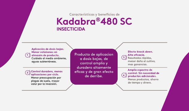 CARACTERISTICAS