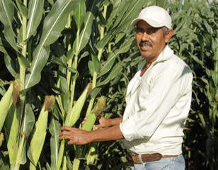 promesa