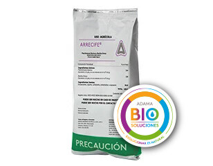 Arrecife Bio