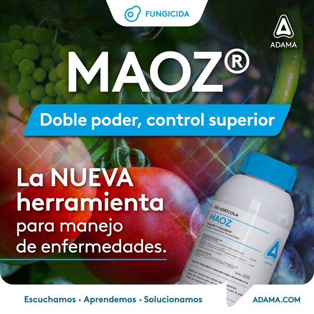 Maoz