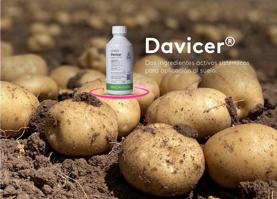 Davicer