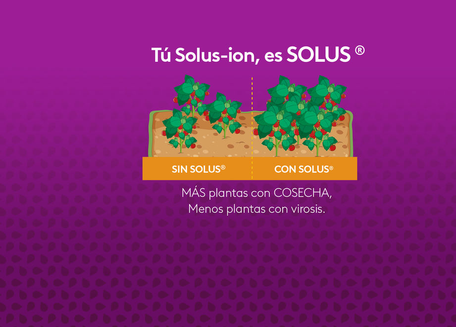 Solus