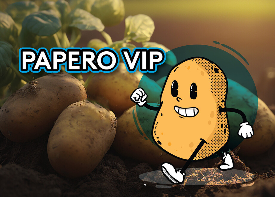 VIP Papero