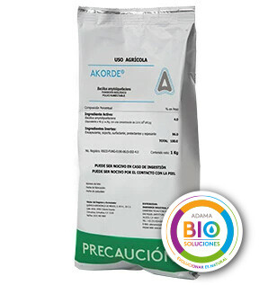 Akorde Bio