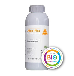 BIO
