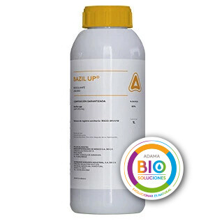 BIO