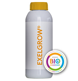 BIO