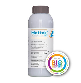 BIO