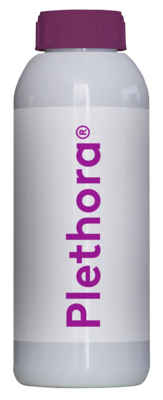 Plethora