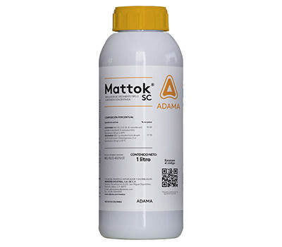 Mattok